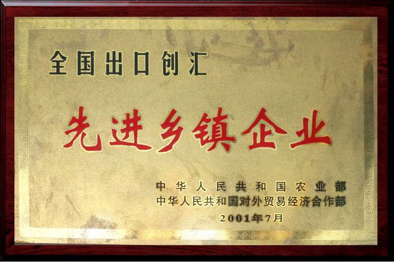 全國出口創(chuàng)匯-先進(jìn)鄉(xiāng)鎮(zhèn)企業(yè)