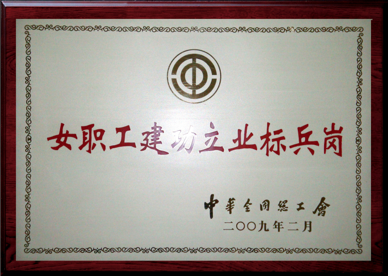 公司開發(fā)部獲“全國女職工建功立業(yè)標(biāo)兵崗”榮譽(yù)稱號(hào)