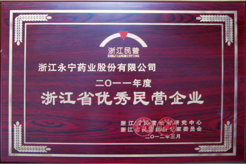 浙江省優(yōu)秀民營企業(yè)